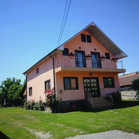 Pensiunea Balea Sat Cîrţişoara Exterior foto