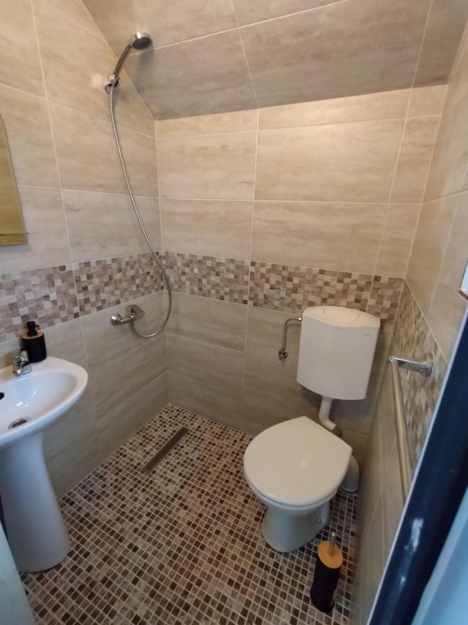 Pensiunea Balea Sat Cîrţişoara Exterior foto