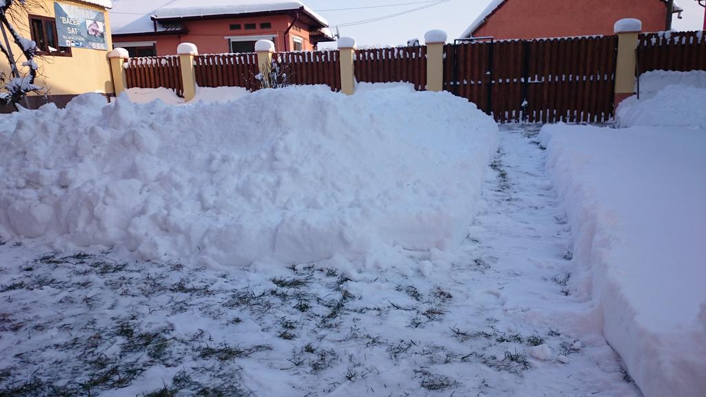 Pensiunea Balea Sat Cîrţişoara Exterior foto