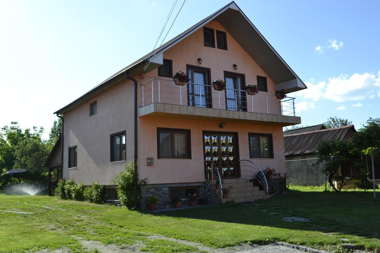 Pensiunea Balea Sat Cîrţişoara Exterior foto