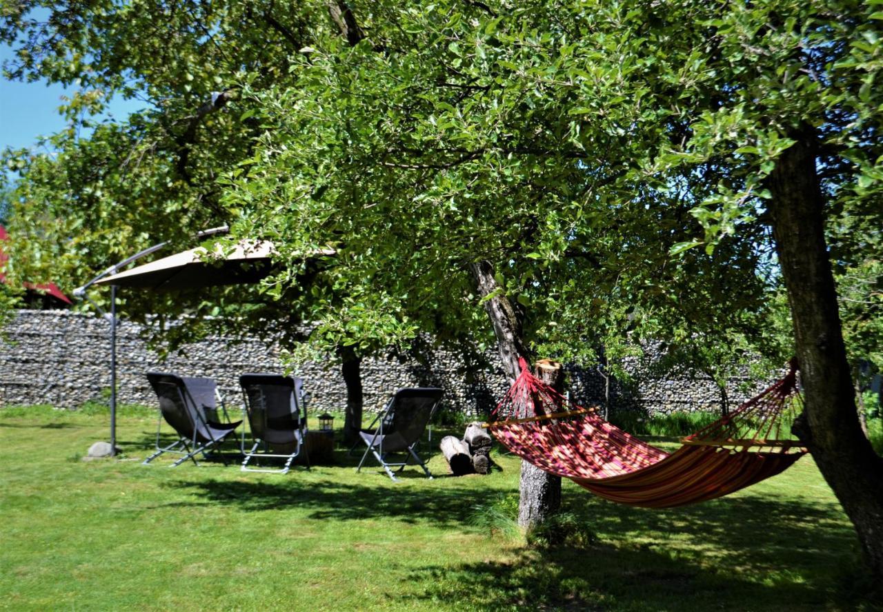 Pensiunea Balea Sat Cîrţişoara Exterior foto