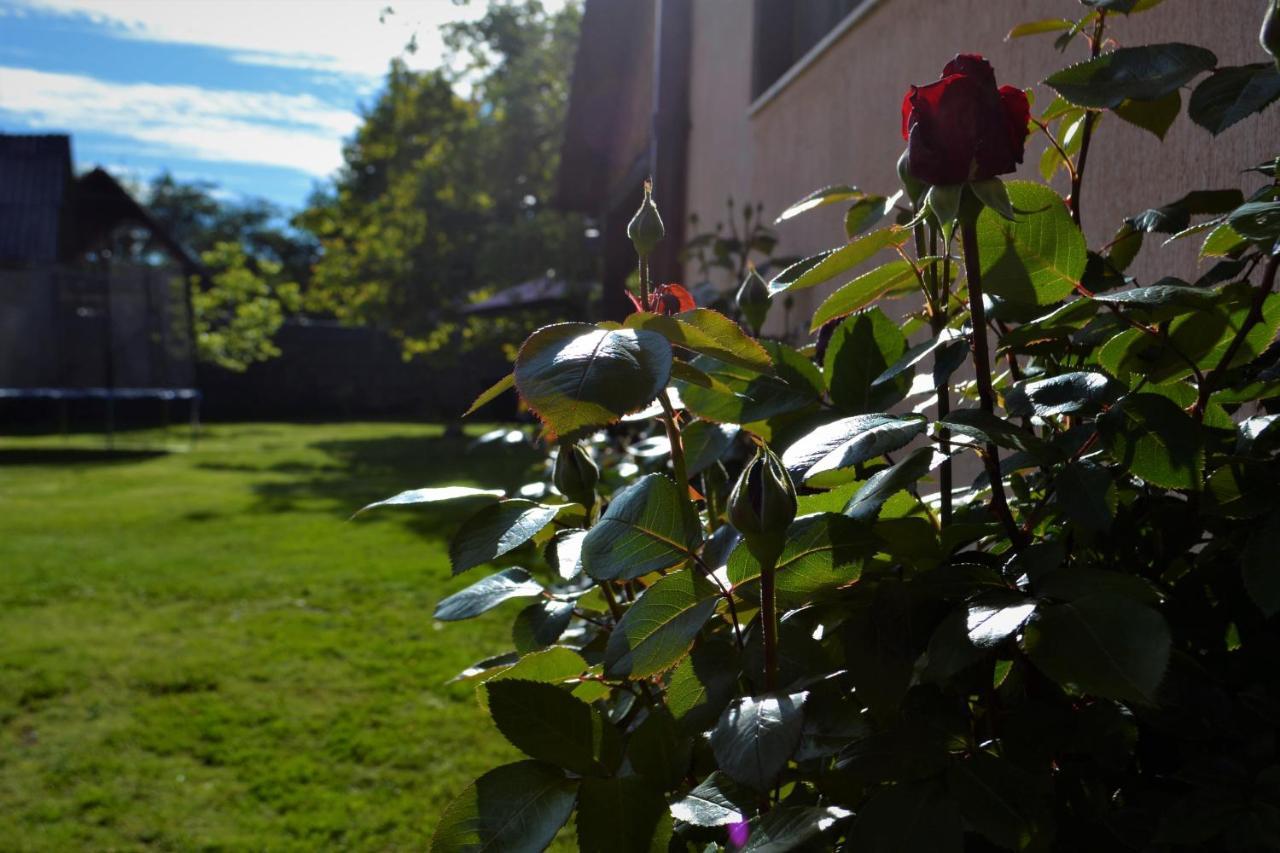 Pensiunea Balea Sat Cîrţişoara Exterior foto